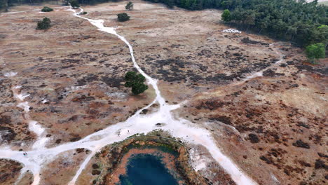 winding dirt path in nature. a winding dirt path cuts through a barren landscape with sparse trees under a clear sky in a remote area