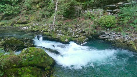 radovna river in vintgar gorge. bled, slovenia