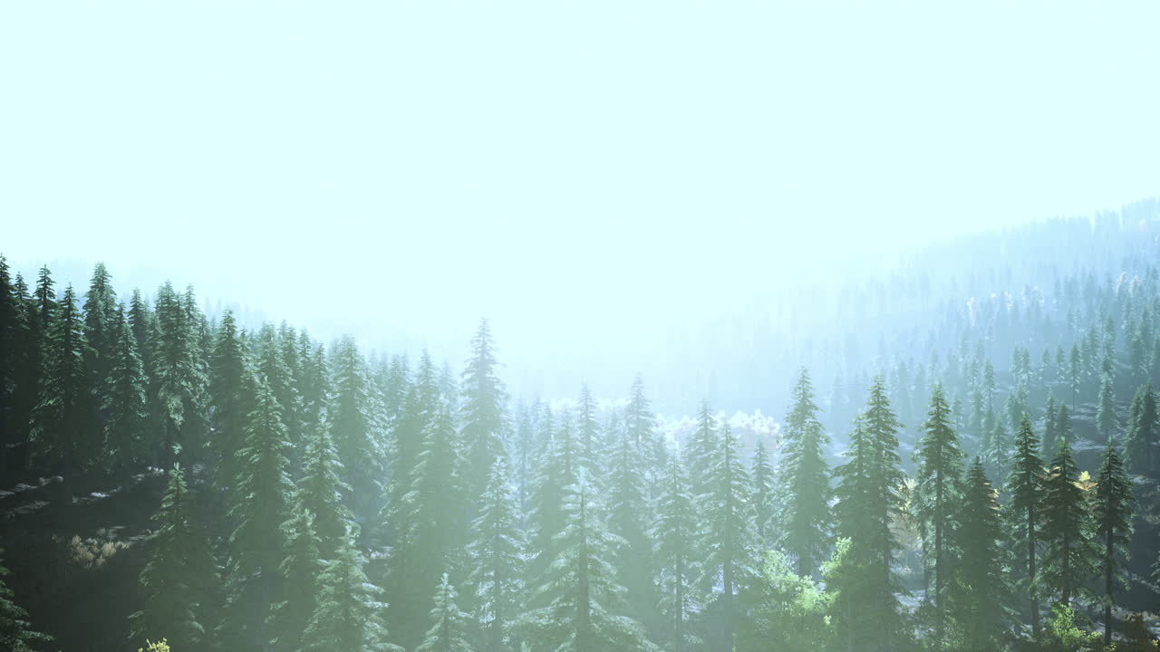 카르파티아 산맥 의 아름다운 자연 풍경