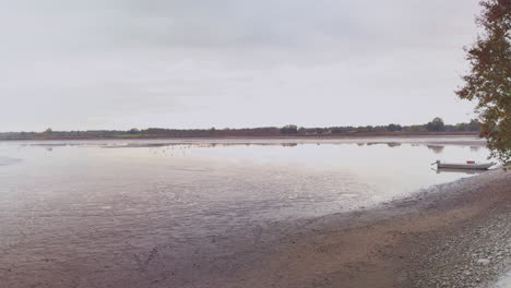 a calm view of la gabrière pond in france known for traditional fish farming in autumn.