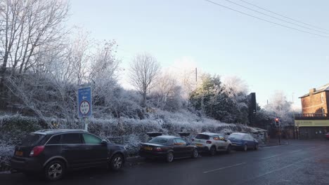 wide shot of a line of cars parked on the pavement