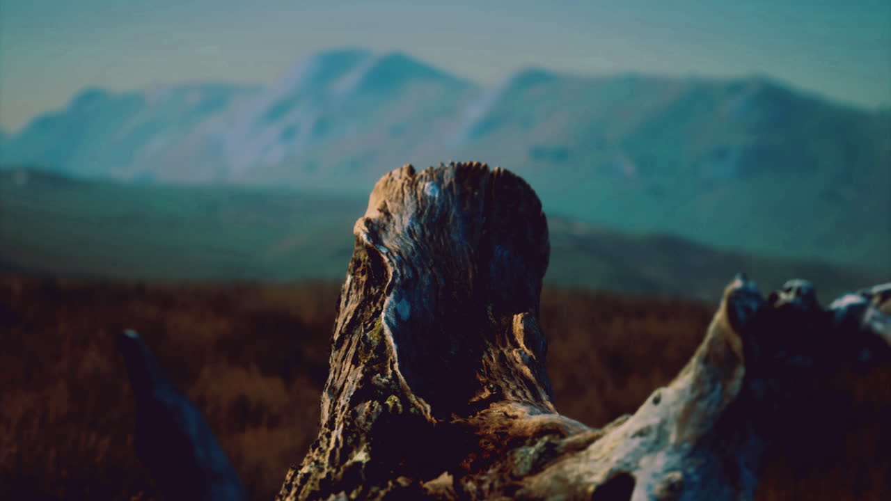 Natures resilience at a scenic mountain landscape during twilight hours