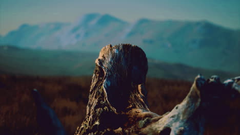 Natures resilience at a scenic mountain landscape during twilight hours