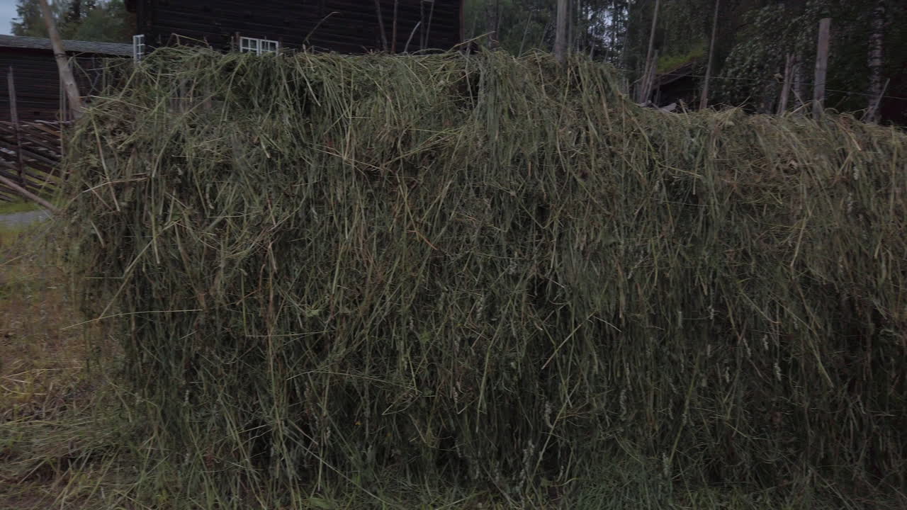 Authentic norwegian way for drying and preserving grass for animal food.