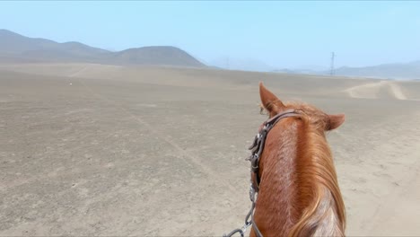 Caballo-Tuerto-Contemplando-El-Paisaje-Desierto-Y-Montando-Pov