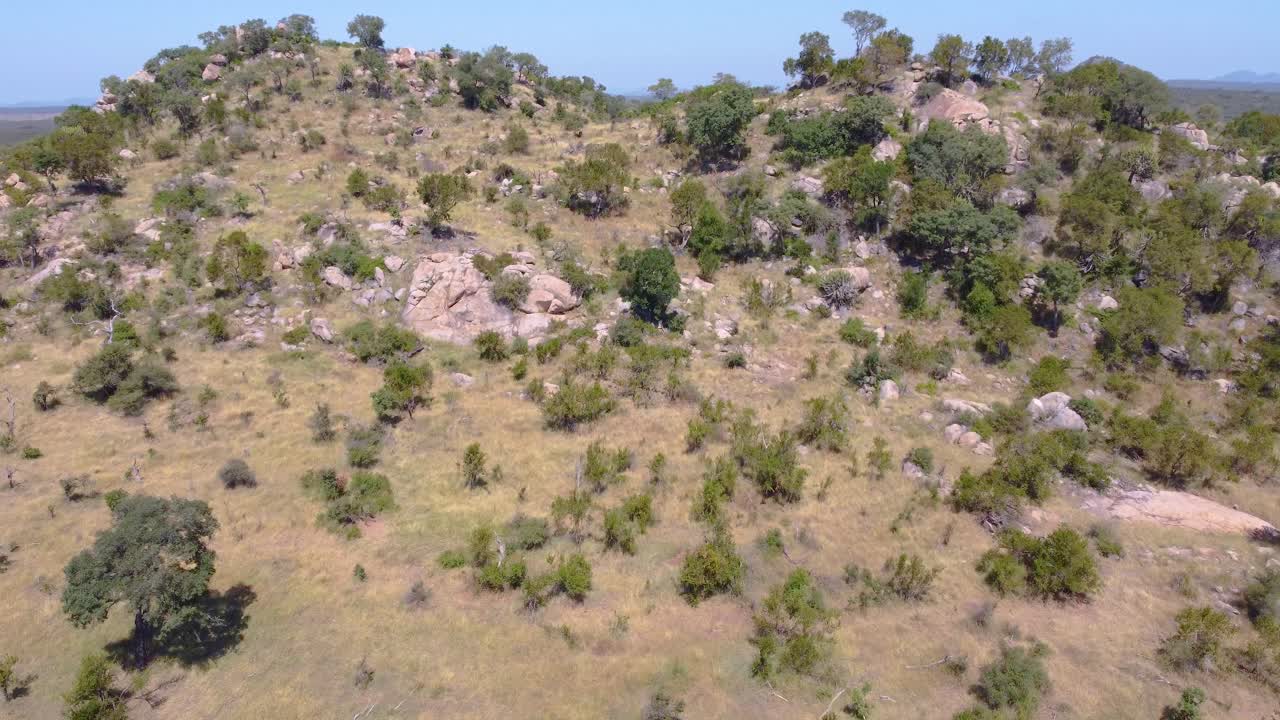 Establishing drone shot of savannah and hills in Blyde River Canyon during the day in Drakensberg mountains, Mpumalanga, South Africa