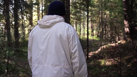 man hiking in the woods