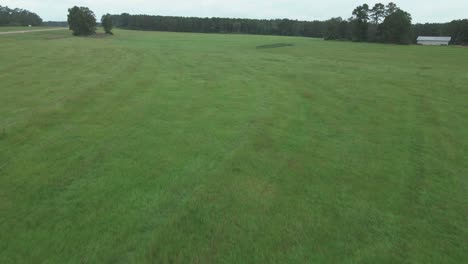 flying over a green hay grass field