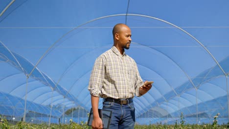 man using mobile phone in blueberry farm 4k