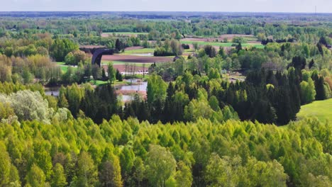 the moon-shaped kirkilai observation tower overlooks the picturesque karst lake and thick forested surroundings in biržai regional park, lithuania - aerial drone shot