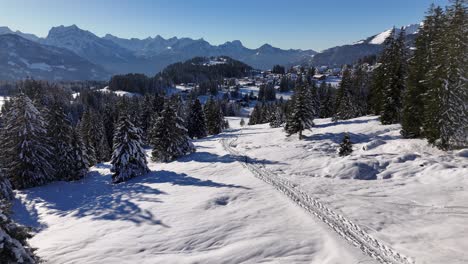Einsame-Person,-Die-Auf-Einer-Schneefläche-Im-Winterwunderland-Amden-Schweiz-Wald-Läuft