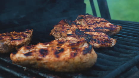 varias tomas de pollo a la parrilla y cocinado en una parrilla de barbacoa estilo apartamento