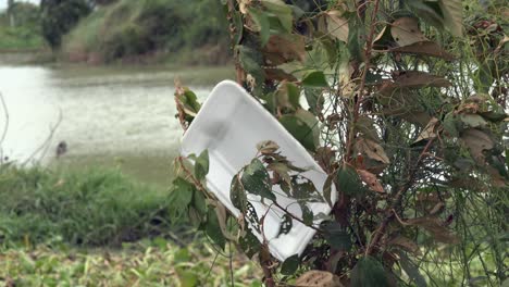 Bandeja-De-Poliestireno-Atrapada-En-Un-Arbusto-En-El-Viento