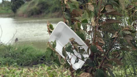 bandeja de poliestireno atrapada en un arbusto en el viento