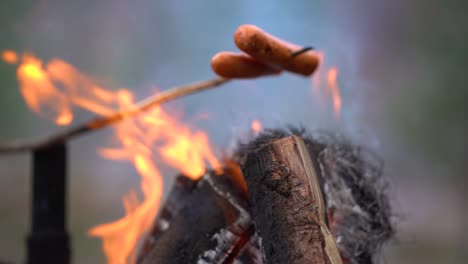 Grilling-hotdog-over-an-outdoor-fireplace-in-the-Winter