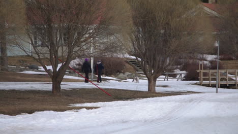 people walking in the snow with their dog in vuokatti finland at holiday club katinkulta