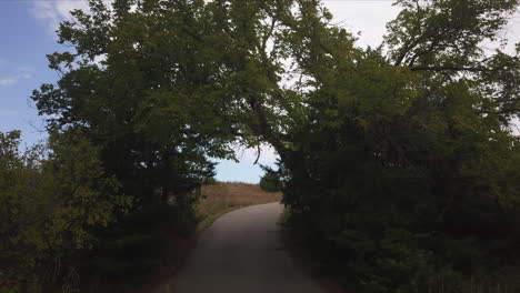 flight drone view under the trees on the road