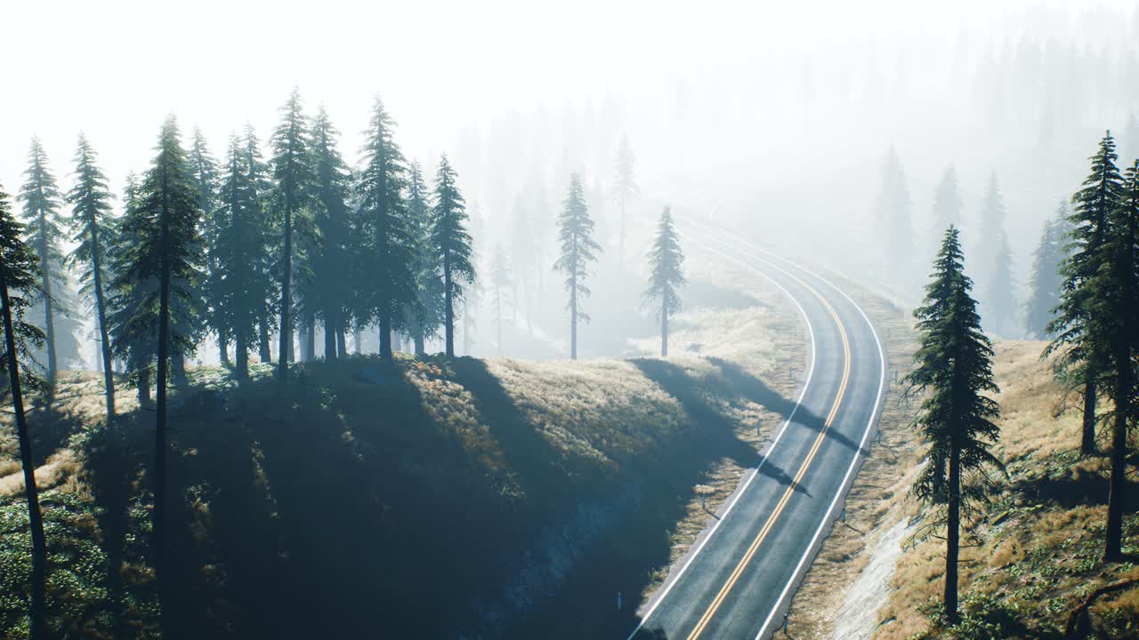 러시아 타이가 숲 을 가로지르는 도로