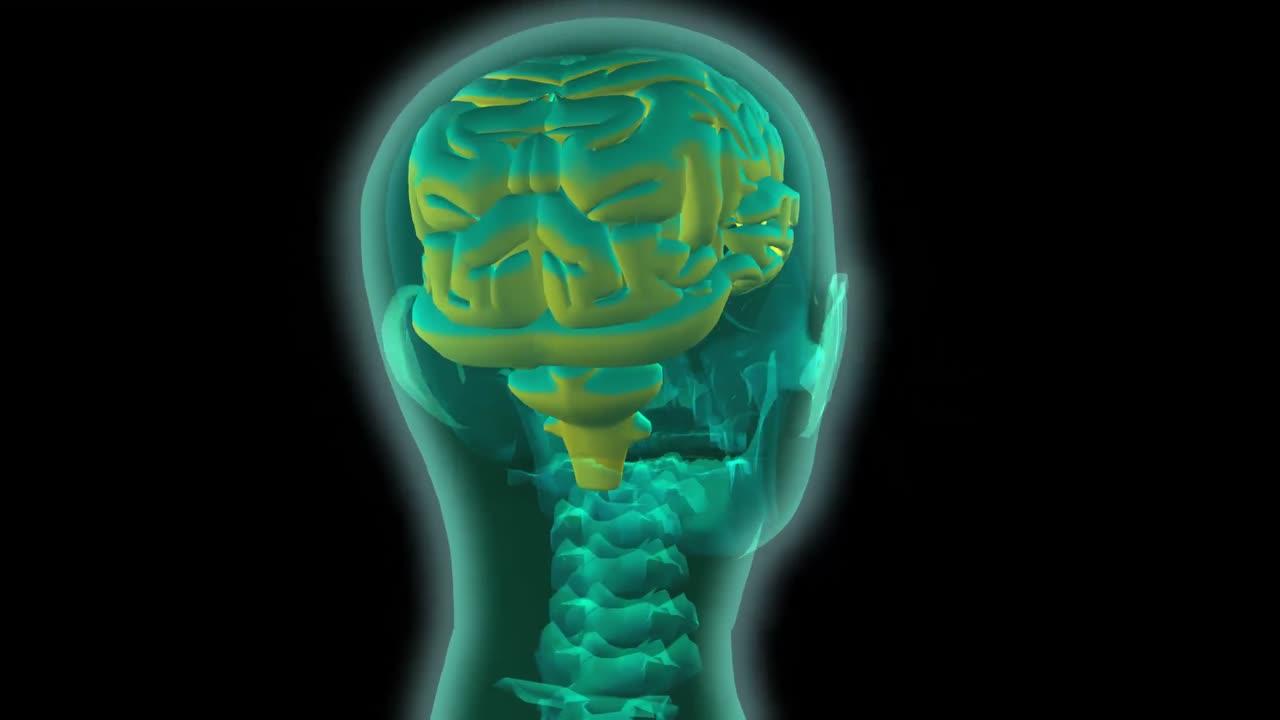 animación en 3d de un cerebro humano