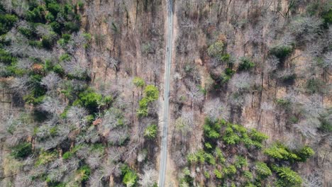 Stunning-Overhead-drone-footage-of-a-cyclist-on-a-forest-road