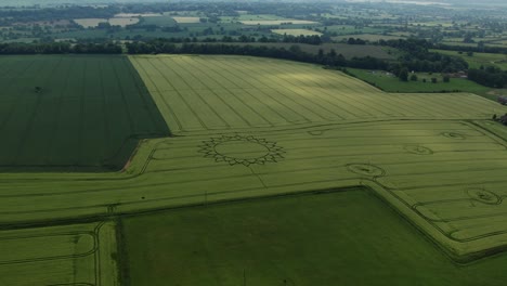 Crop-Circle-In-Sunflower-Pattern-On-Lush-Green-Field-In-Potterne,-Wiltshire,-UK