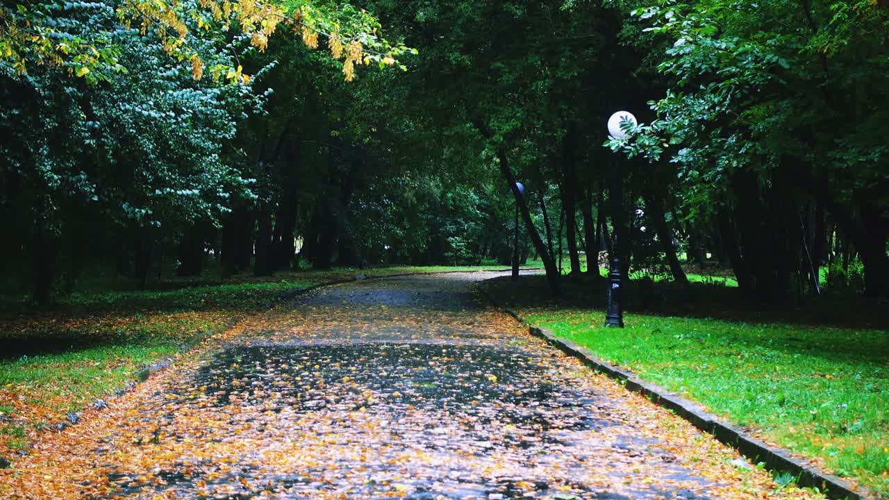 Wet road in the autumn park during the rain.