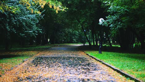 Wet road in the autumn park during the rain.