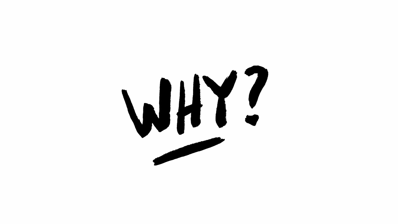 Animated Black and White 'Why' Text Reveal