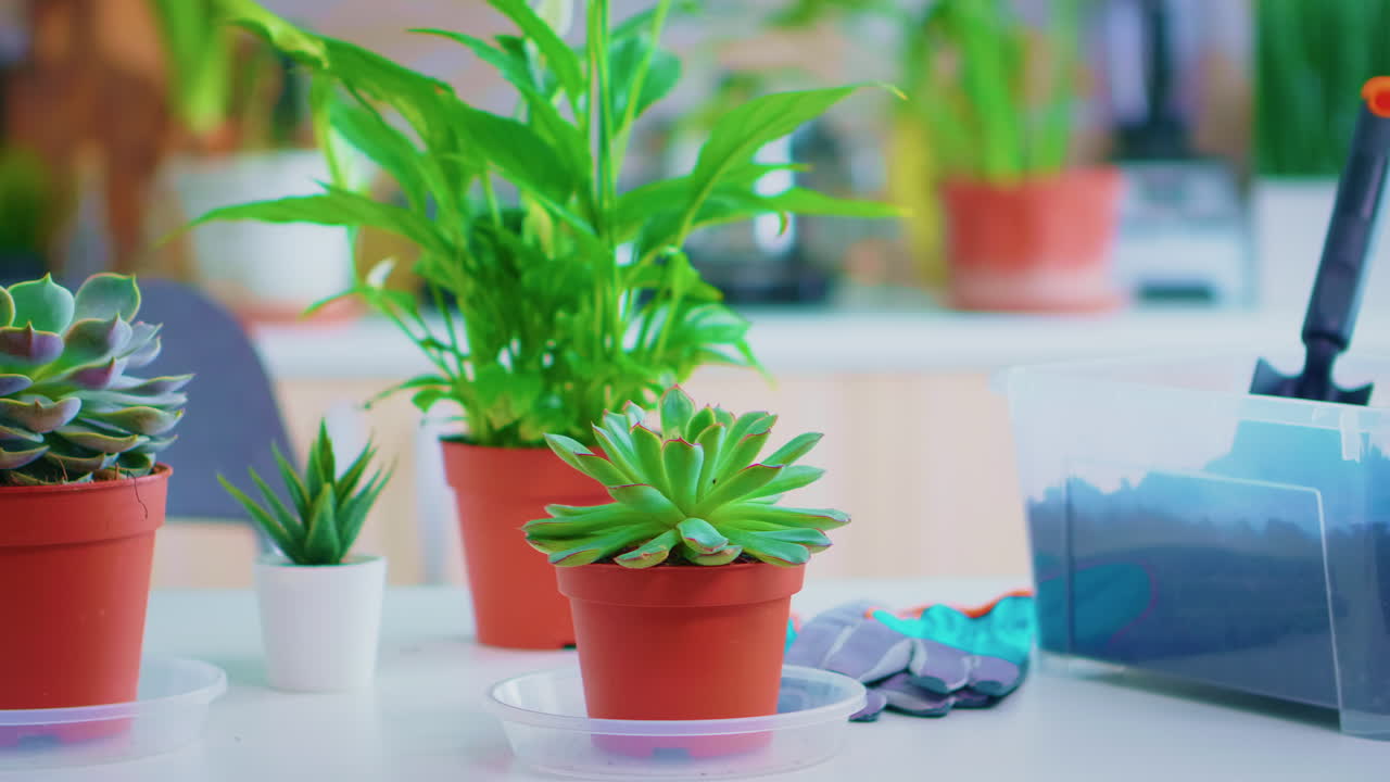 nachrichten auf dem smartphone lesen