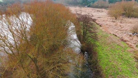 river little ouse in thetford, with trees, greenery, and flowing water in winter