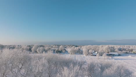 Antena-Que-Establece-La-Vista-De-Un-Paisaje-Rural-En-Invierno,-Campos-Y-árboles-Cubiertos-De-Nieve,-Clima-Helado,-Día-Soleado-De-Invierno-Con-Cielo-Azul,-Amplio-Tiro-Descendente-De-Drones-Moviéndose-Hacia-Atrás