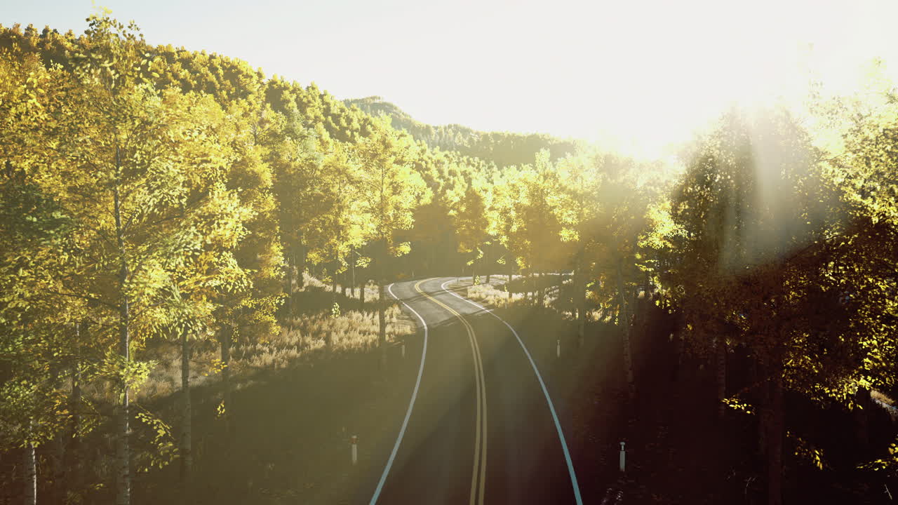 Beautiful winding road in vibrant forest during golden hour
