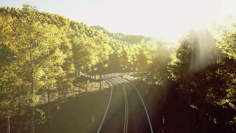 beautiful winding road in vibrant forest during golden hour