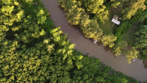 Top-Down-View-Of-Stunning-Small-Brook-Stream-At-Sunset-In-Amazon-Forest