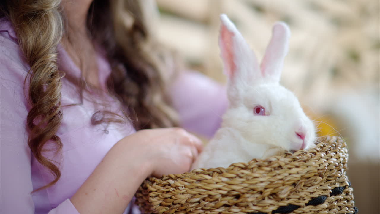 Woman petting a white bunny in the barn near square hay bales, in daylight