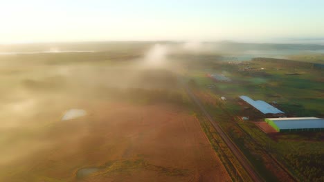 Early-morning-mist,-grasslands,-rainforest-and-pine-trees-just-after-sunrise