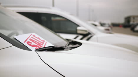 cars on sale at dealership