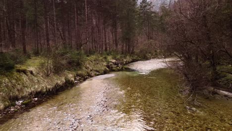 un río tranquilo que fluye a través de un bosque
