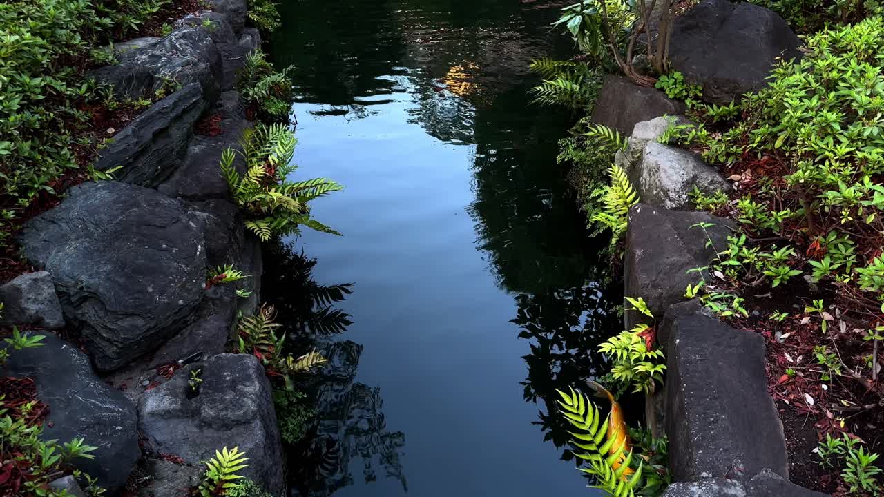A serene garden pond surrounded by lush ferns and rocks, reflecting the sky