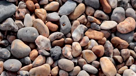 close-up of pebbles on a beach