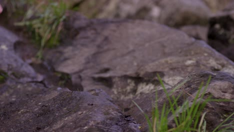 person hiking on rocky trail