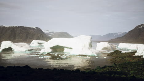 vista nublada de verano al gran glaciar