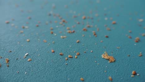 bread crumbs on a teal surface