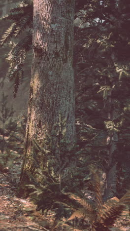 el majestuoso árbol del bosque