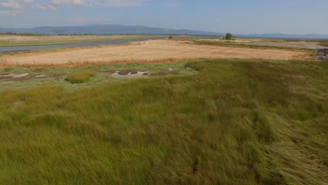 Antenne:-Ein-Flussdelta-Mit-Einer-Hindurchführenden-Straßenbrücke-Und-Einigen-Landwirtschaftlichen-Gebäuden