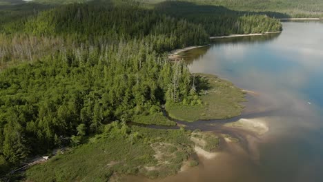 sandy beach on the lake with green trees-2