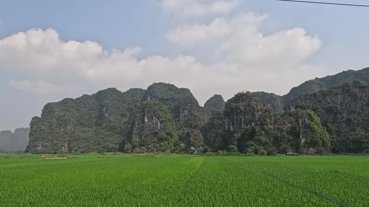울창 한 초록색   과 높은 카르스트 언덕