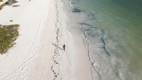 aerial view of sea waves, umbrellas, palm trees and walking people on sandy beach at sunset