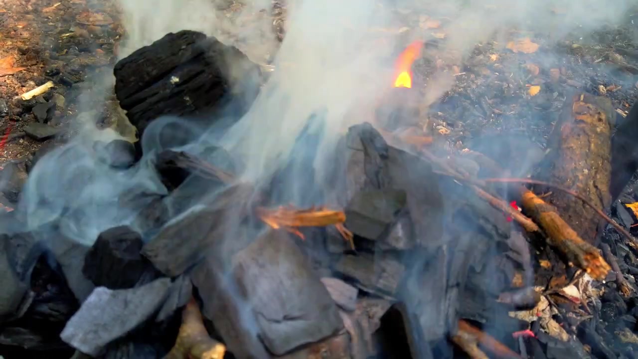 Shooting a fire in the forest.