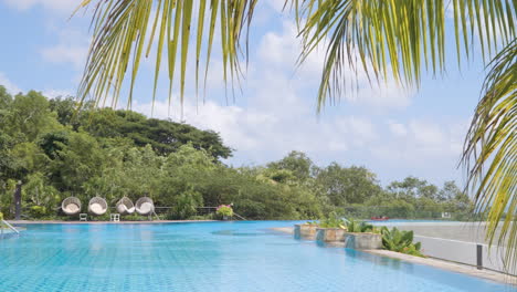 serene peaceful seaside pool with lounge chairs on edge, palm fronds sway above framing water and deck